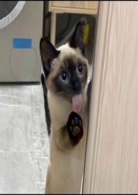 慢慢喜欢你(伪骨科,1v2)