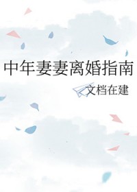 中年妻妻离婚指南