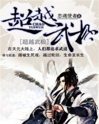 超越武极