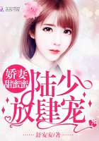 娇妻甜蜜蜜:陆少,放肆宠