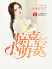 喜从妻来:傲娇老公,深深宠