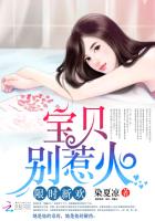 限时新欢:宝贝,别惹火!